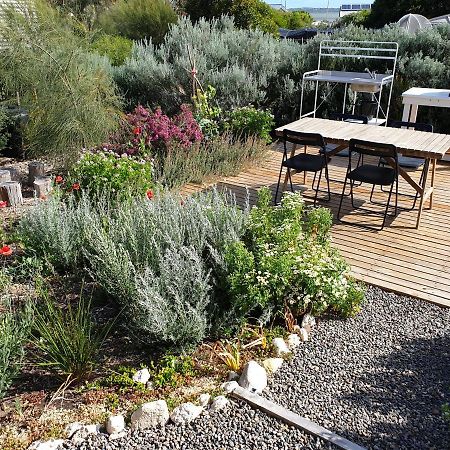 Samphire: Coorong Accommodation Meningie Bagian luar foto