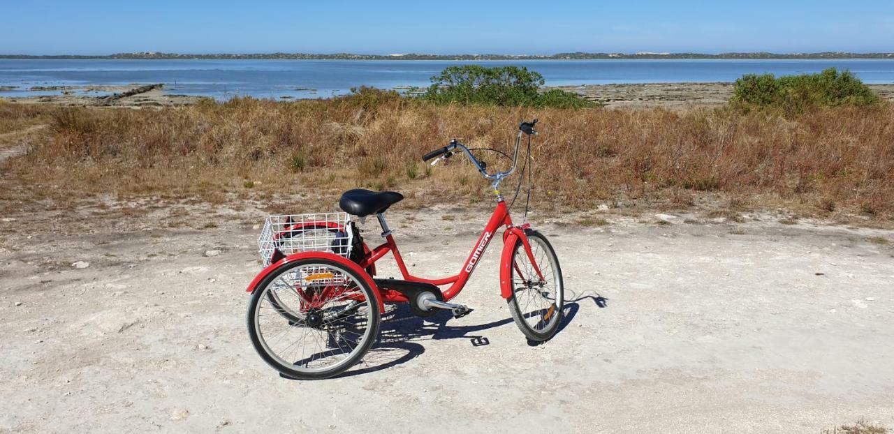 Samphire: Coorong Accommodation Meningie Bagian luar foto
